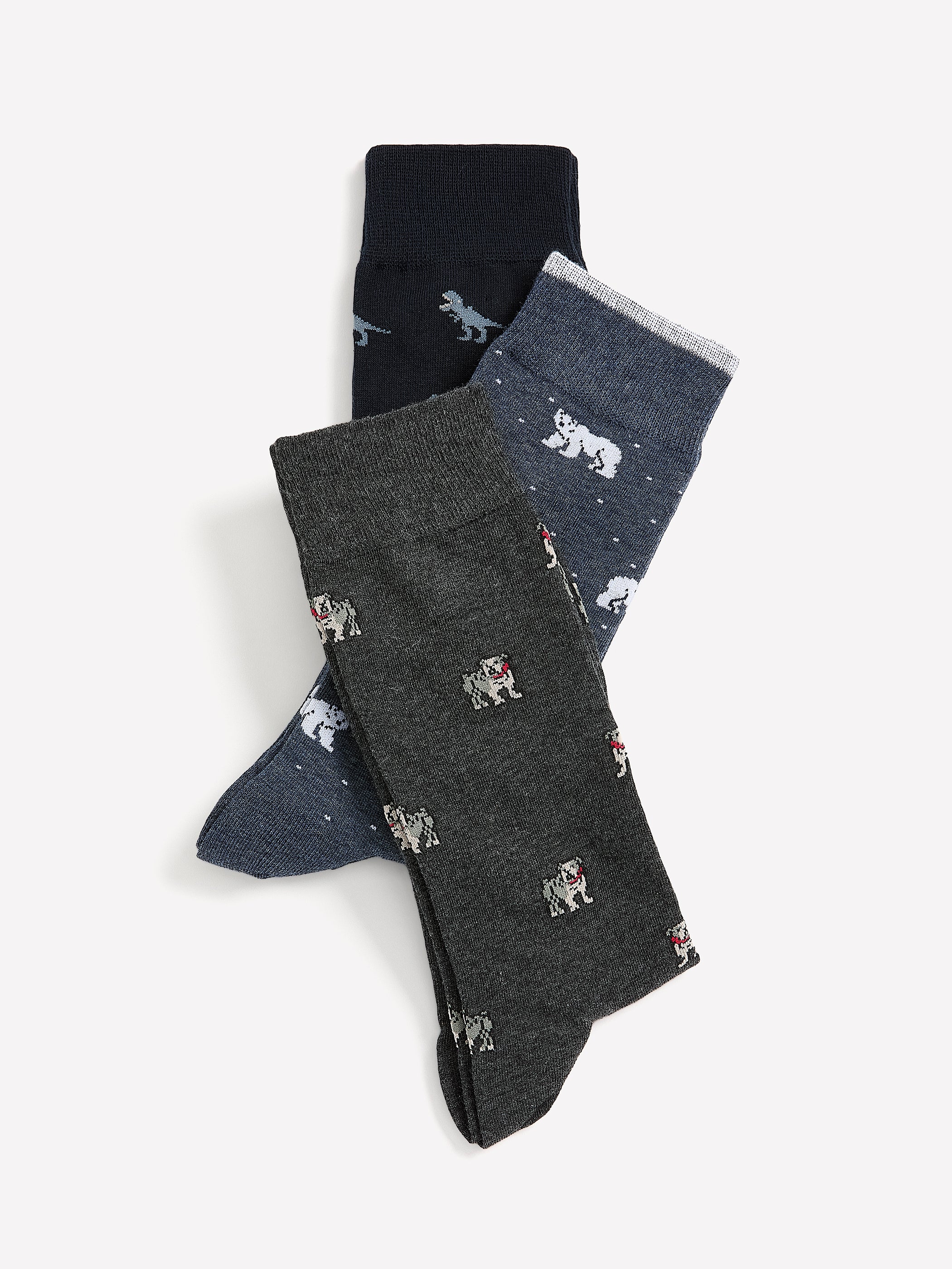 Bulldog Socks - Image 3